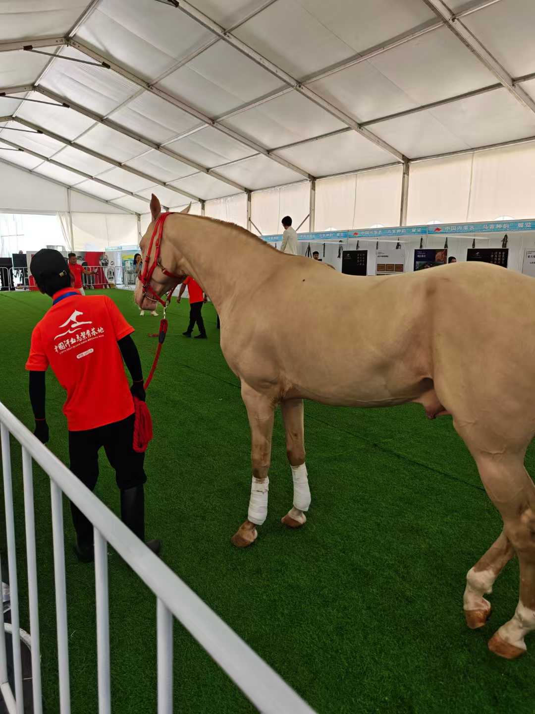 微信圖片_20250719085203